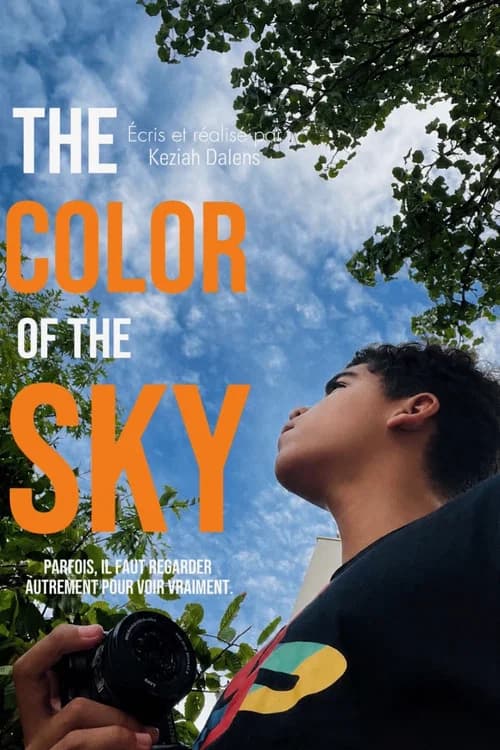 The color of the sky poster