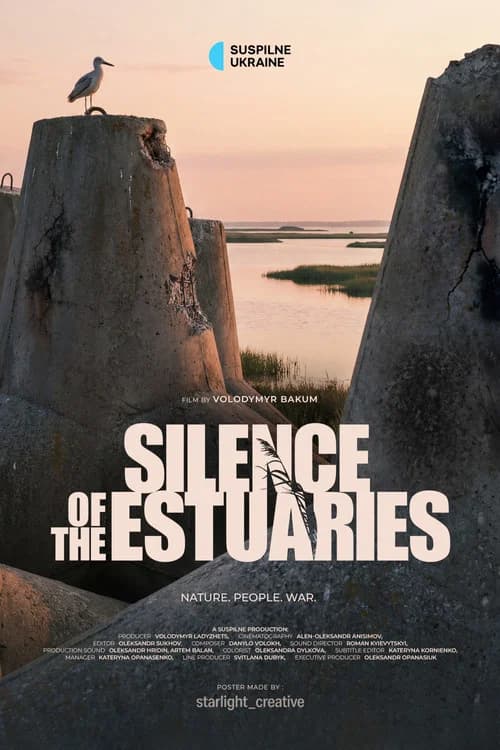The Silence of the Estuaries poster